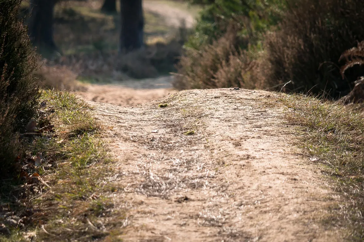 How to Plan a Low-Impact Day Walk Across a Heathland Reserve